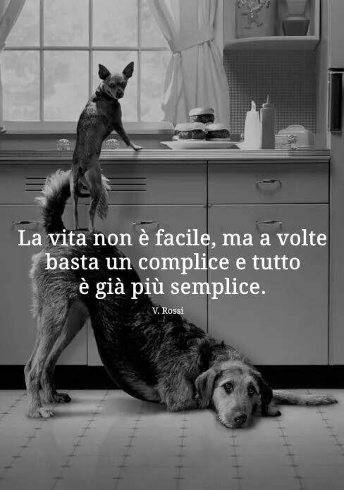 Aforismi di Vasco Rossi
