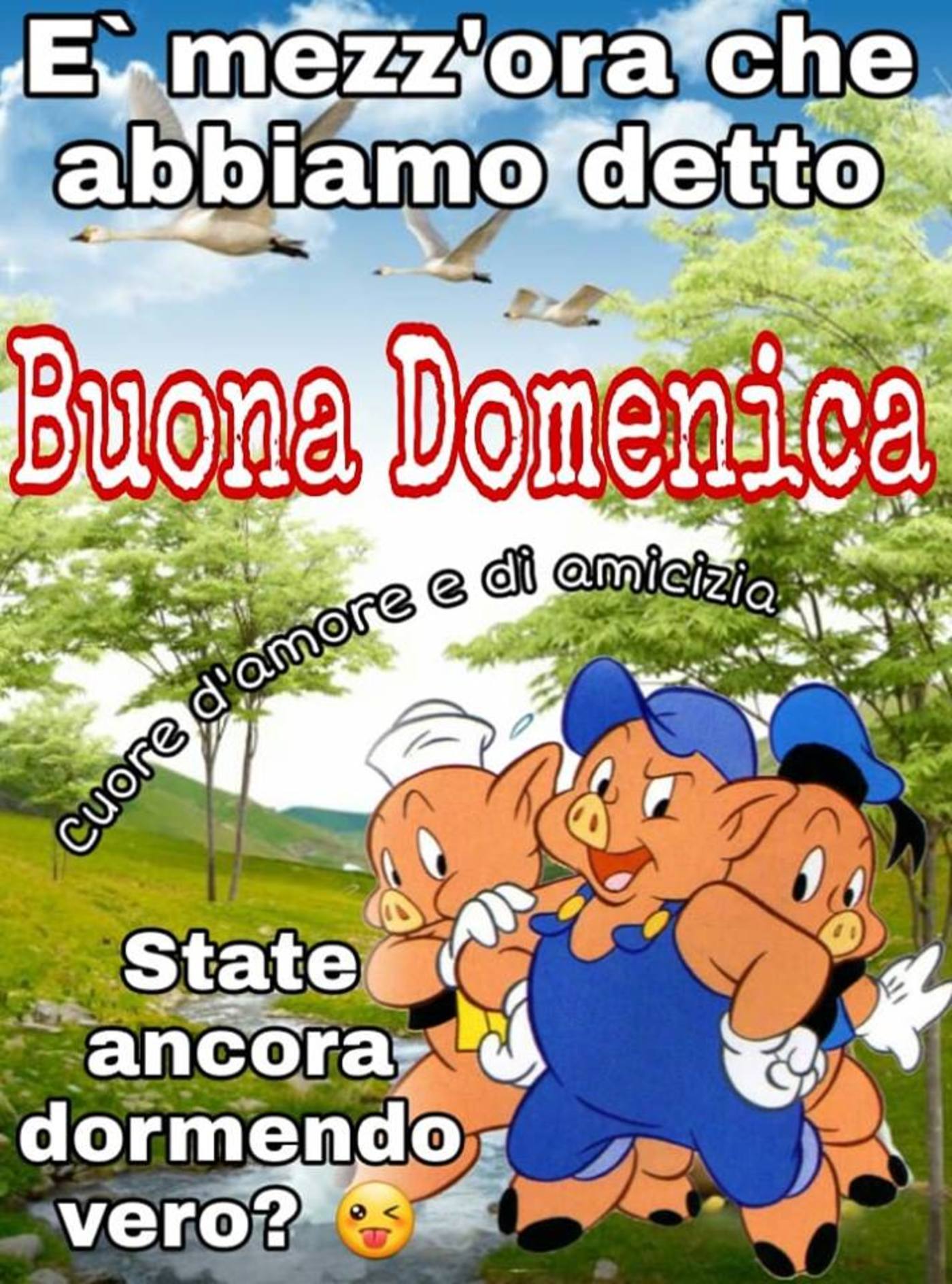 Bella buona domenica a tutti (1)