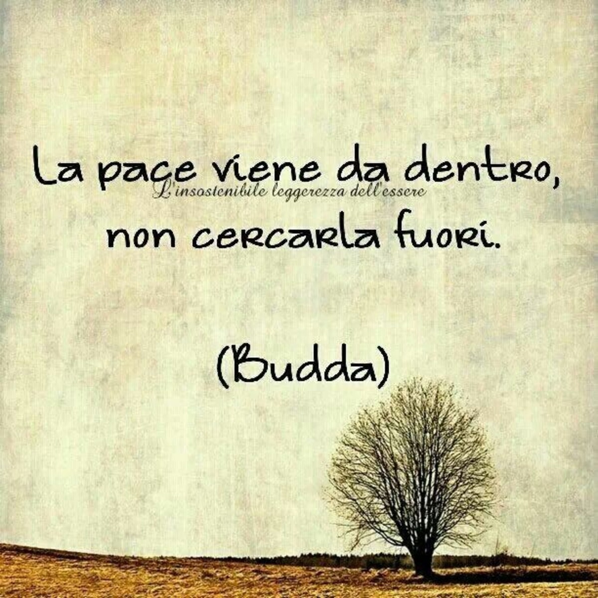 Bella frase di Buddha