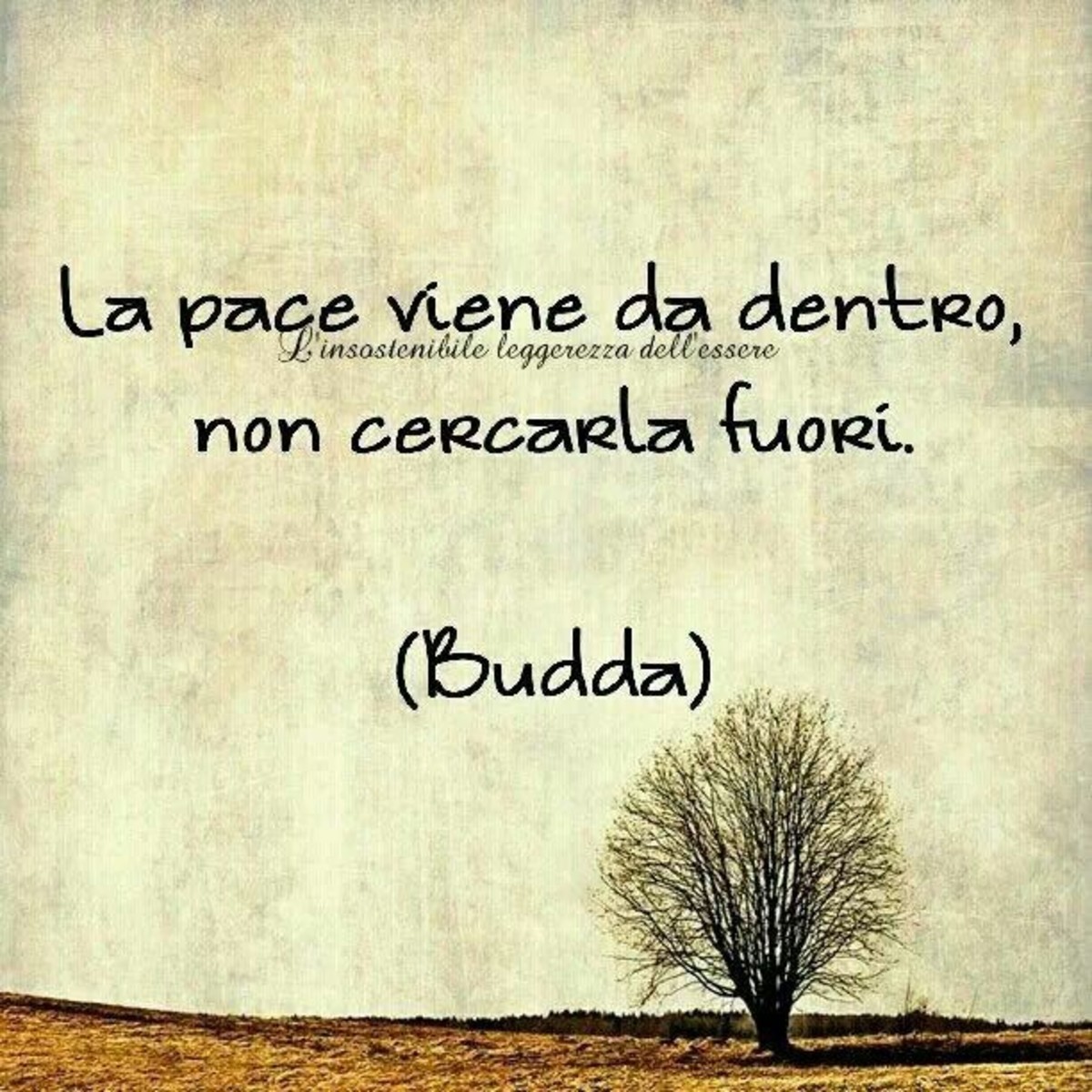 Bella Frase Di Buddha Buongiornoate It