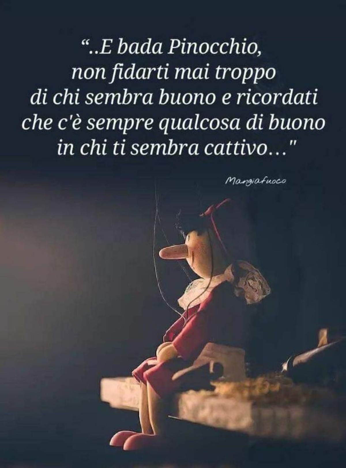 Belle citazioni di libri