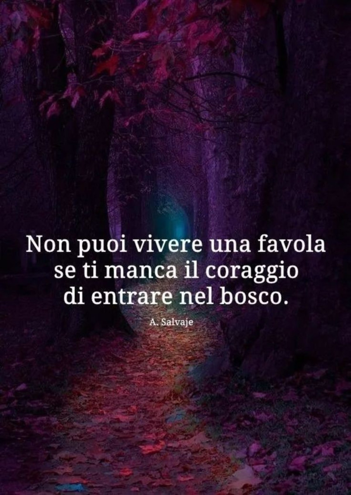 Belle frasi (15)