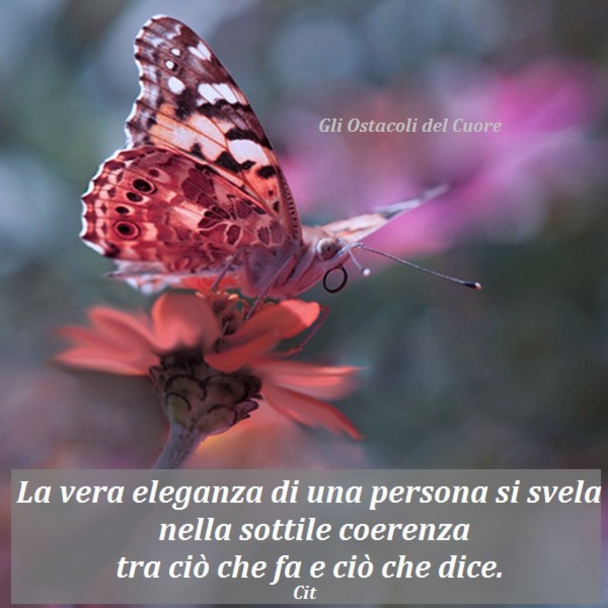 Belle frasi (3)