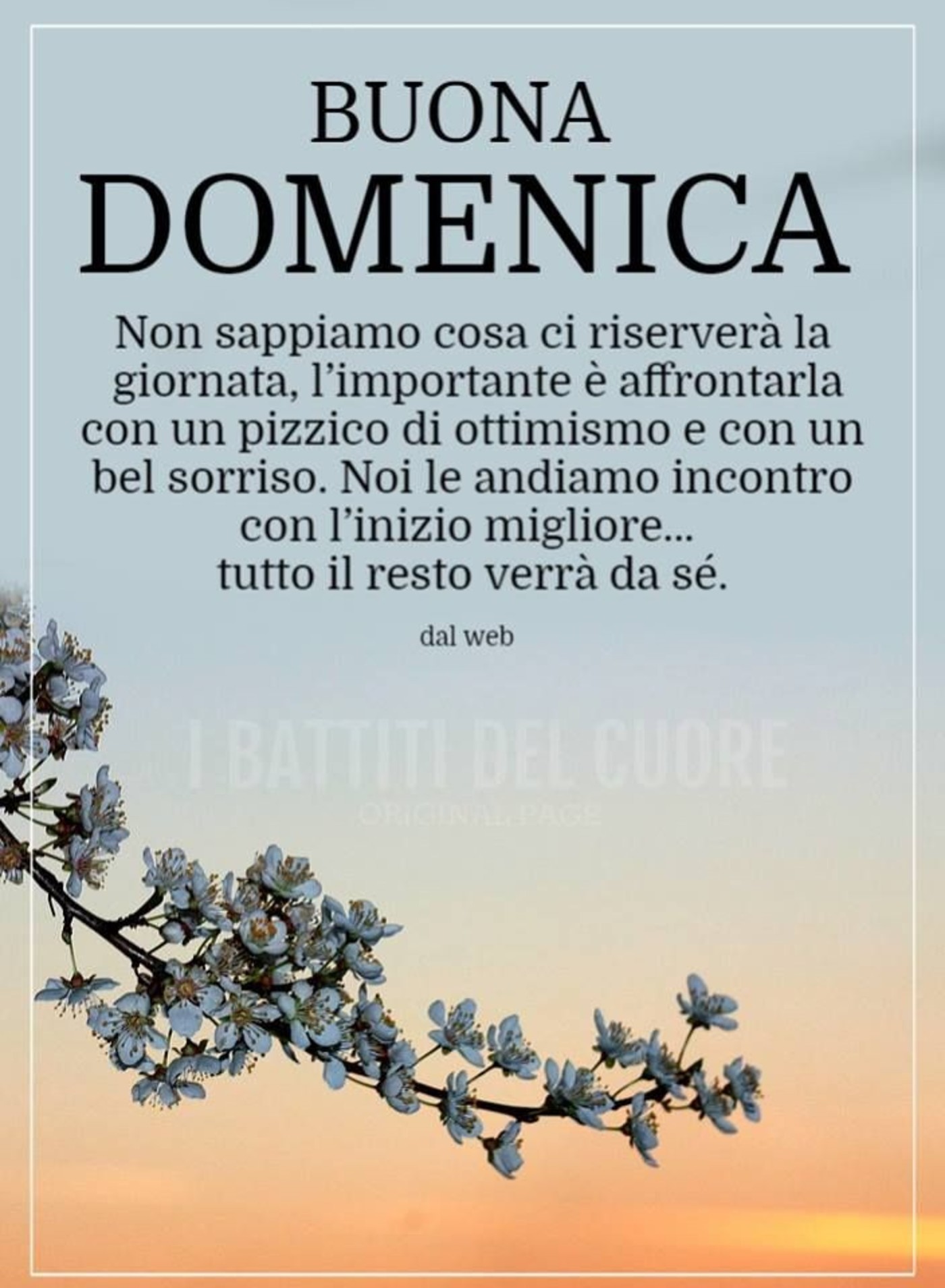 Belle frasi buona domenica (3)