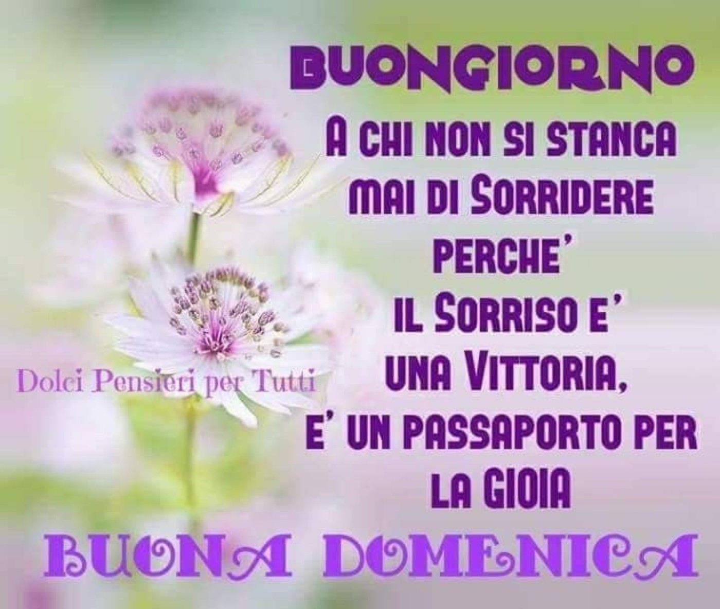 Belle Frasi Buona Domenica Per Amici 4 Buongiornoate It