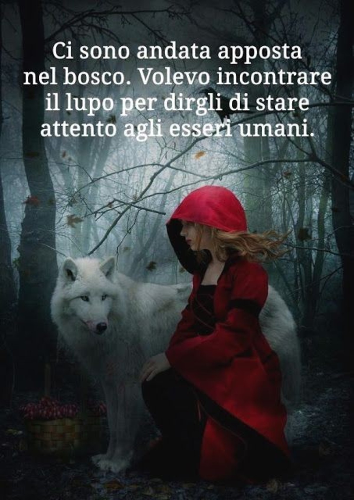 Belle frasi da condividere (28)