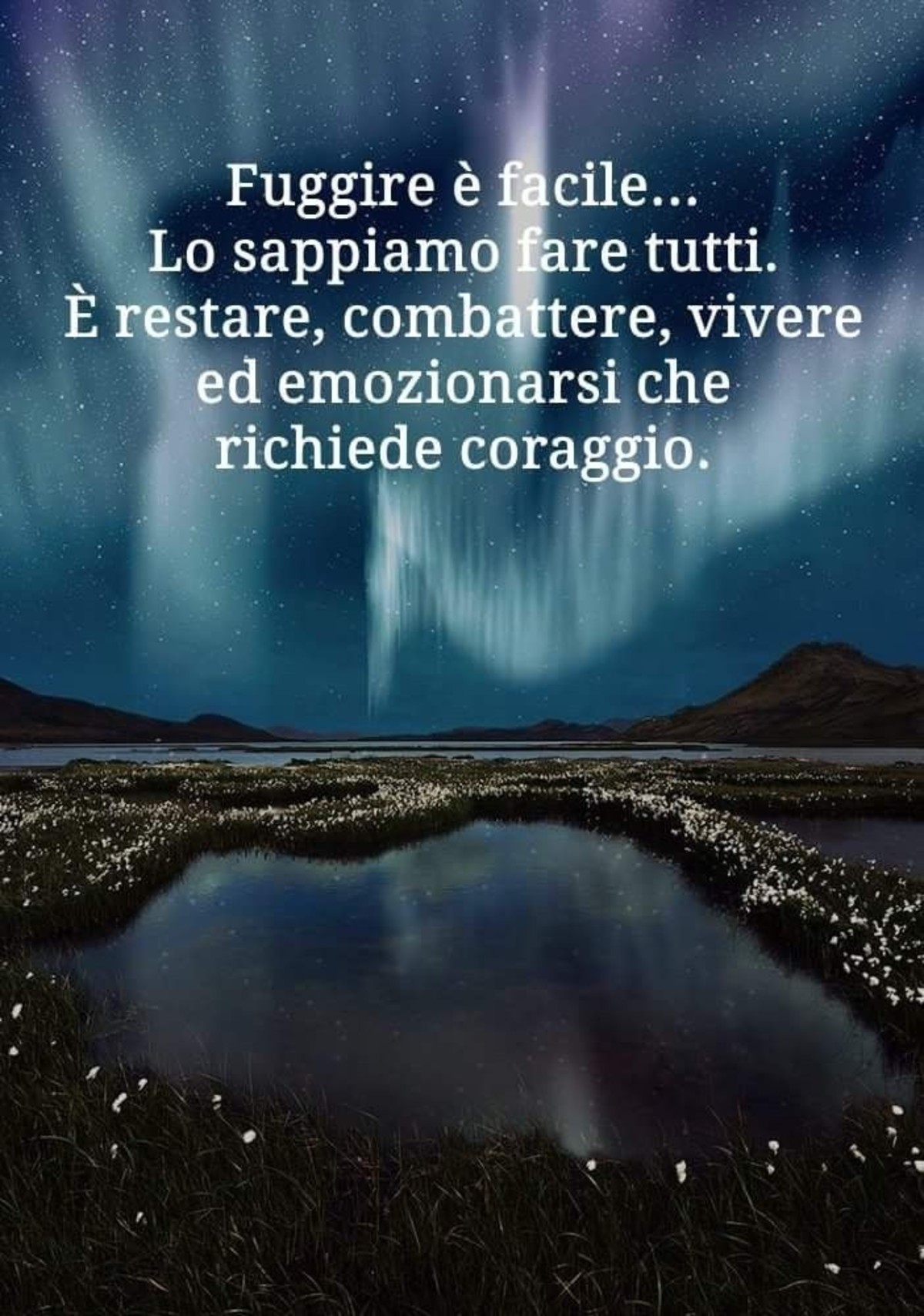 Belle frasi da condividere (31)