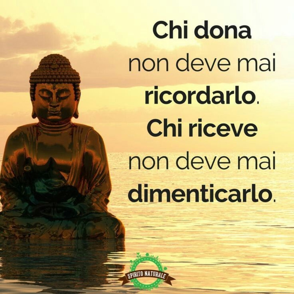 Belle frasi da condividere (7)