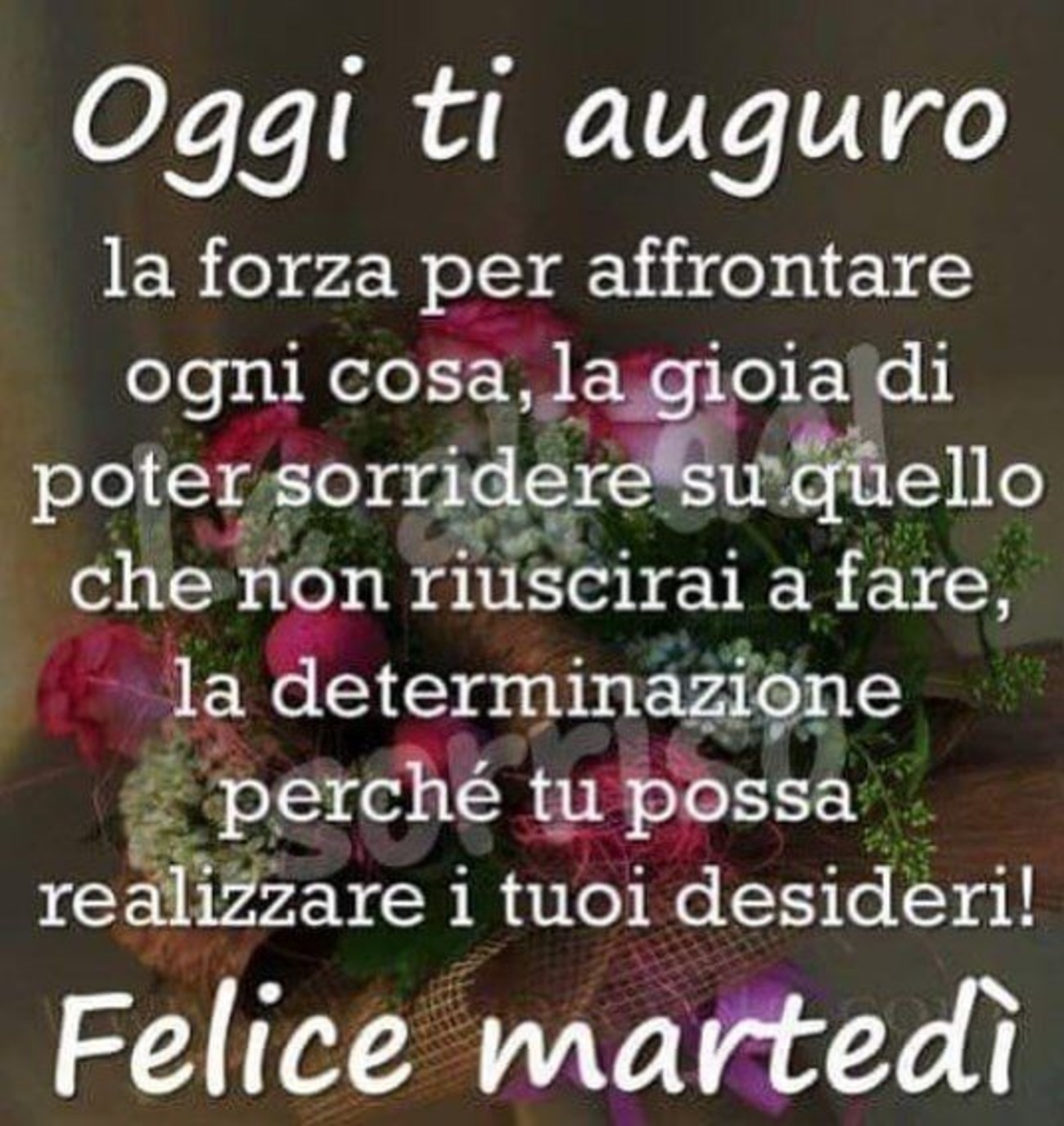 Belle frasi da mandare del buon martedì