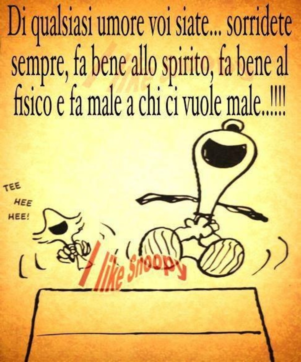 Belle frasi da ridere