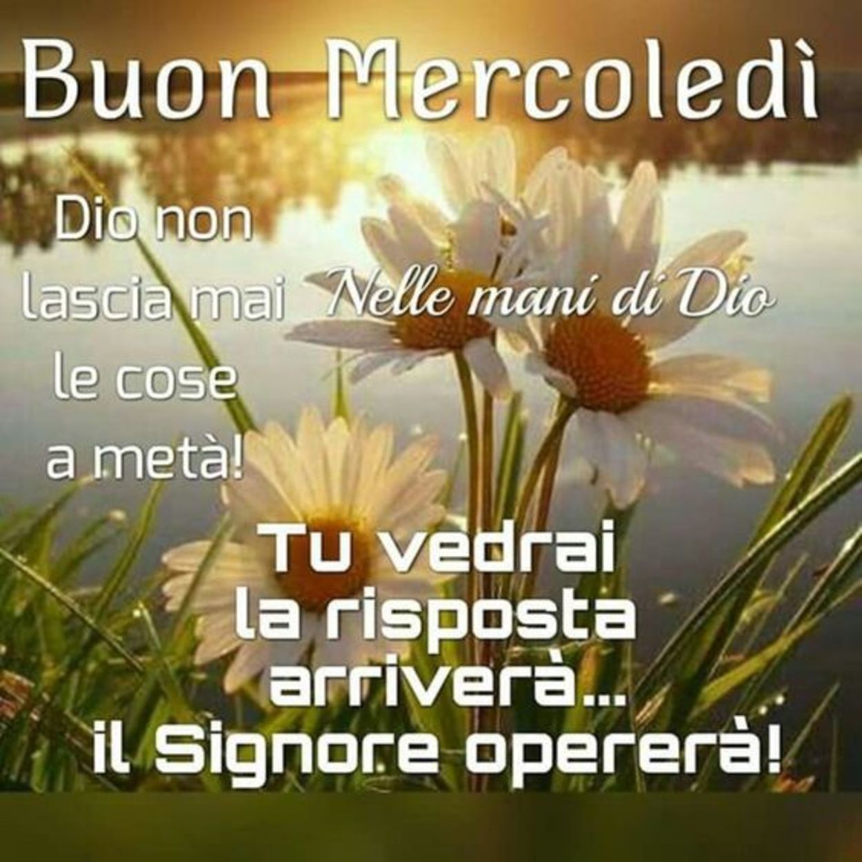 Belle frasi di buon mercoledì