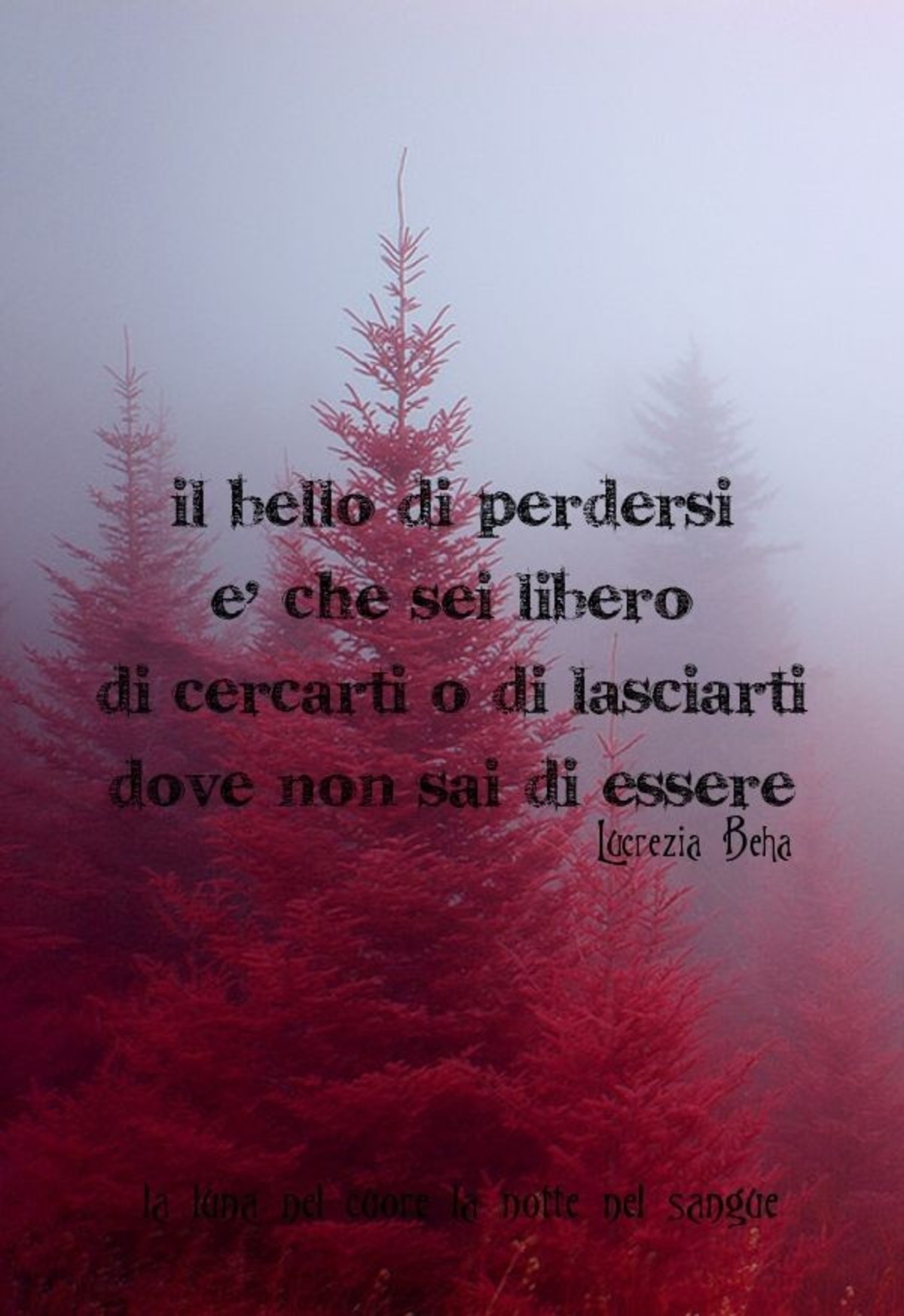 Belle frasi immagini