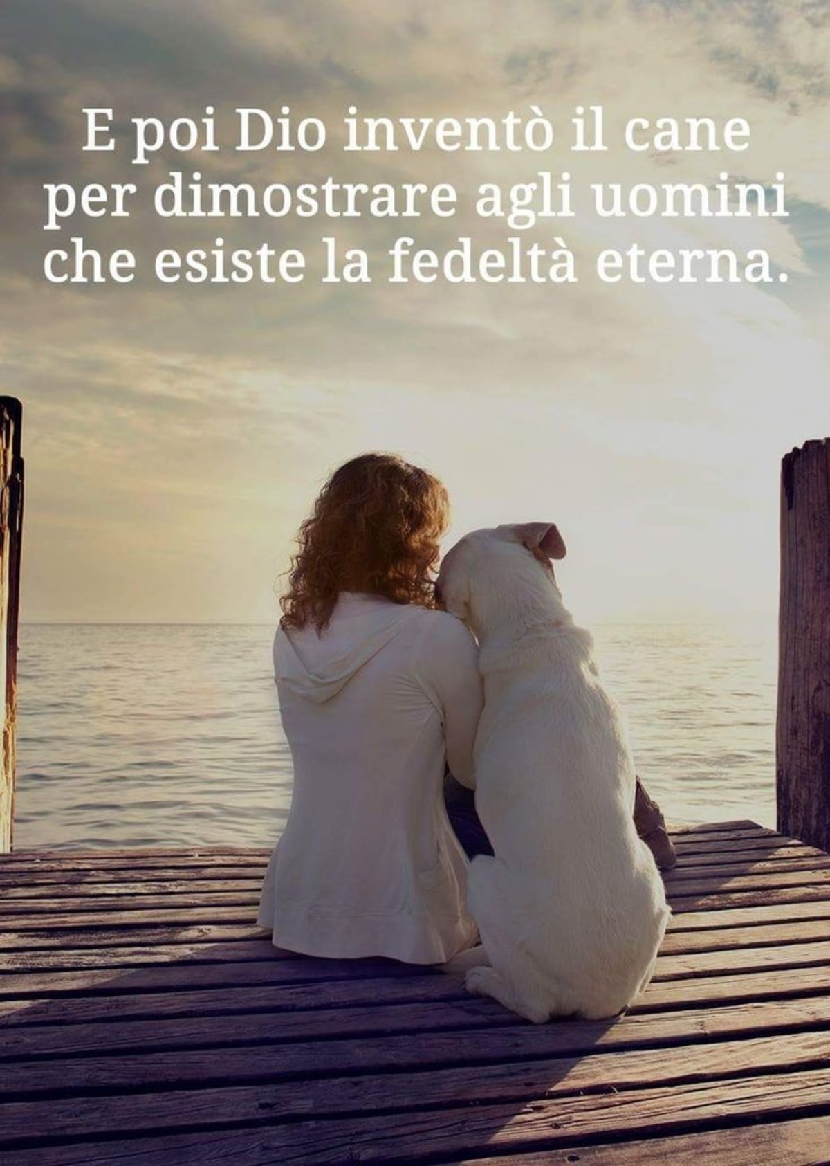 Belle frasi sui cani (1)