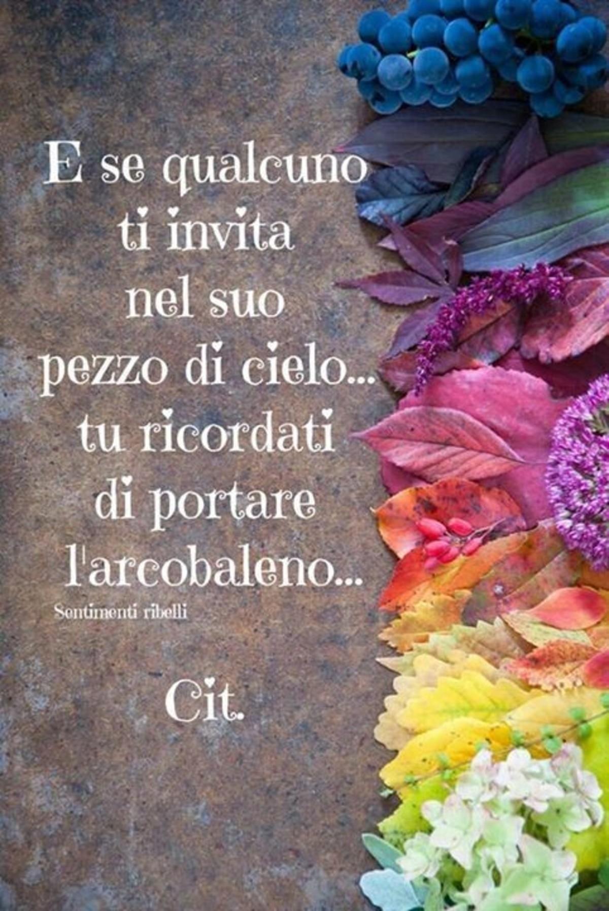 Belle frasi