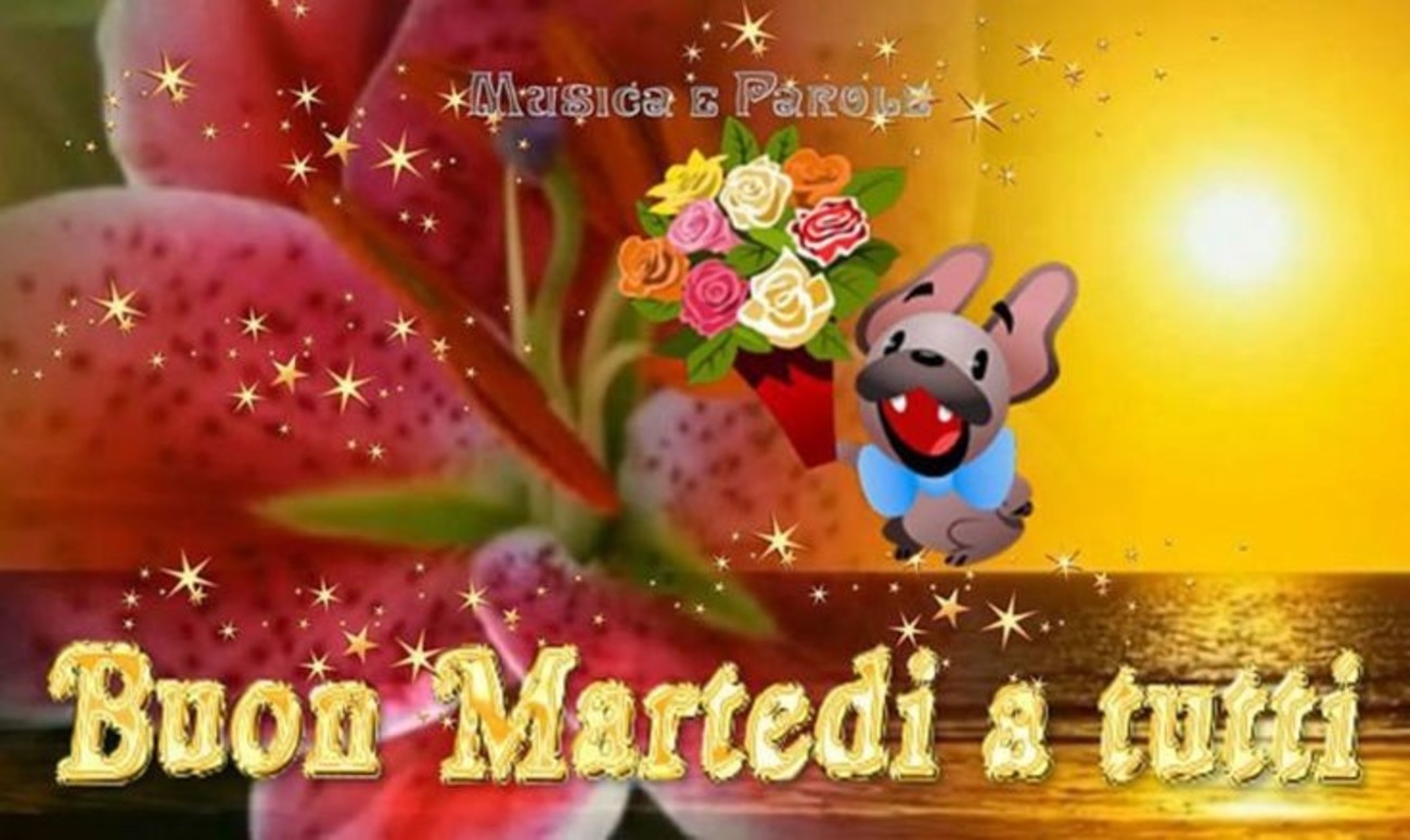 Belle imamgini di buon martedì