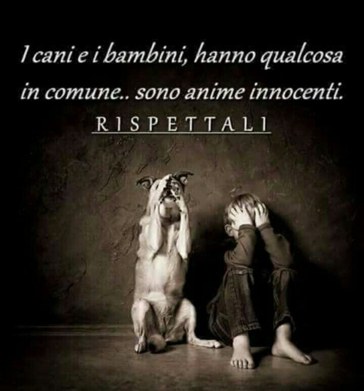 Belle imamgini di frasi belle