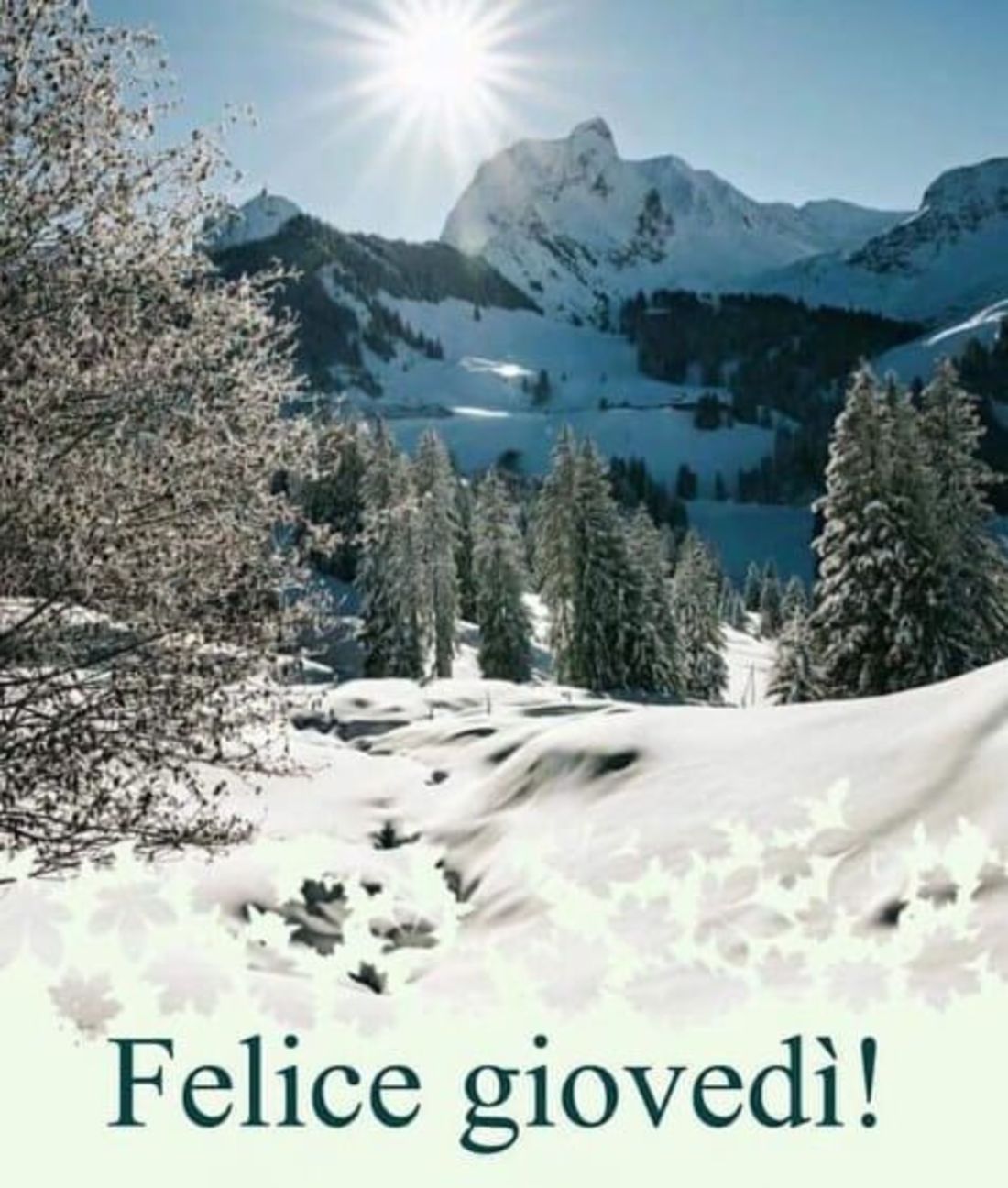 Belle immagini buon giovedì