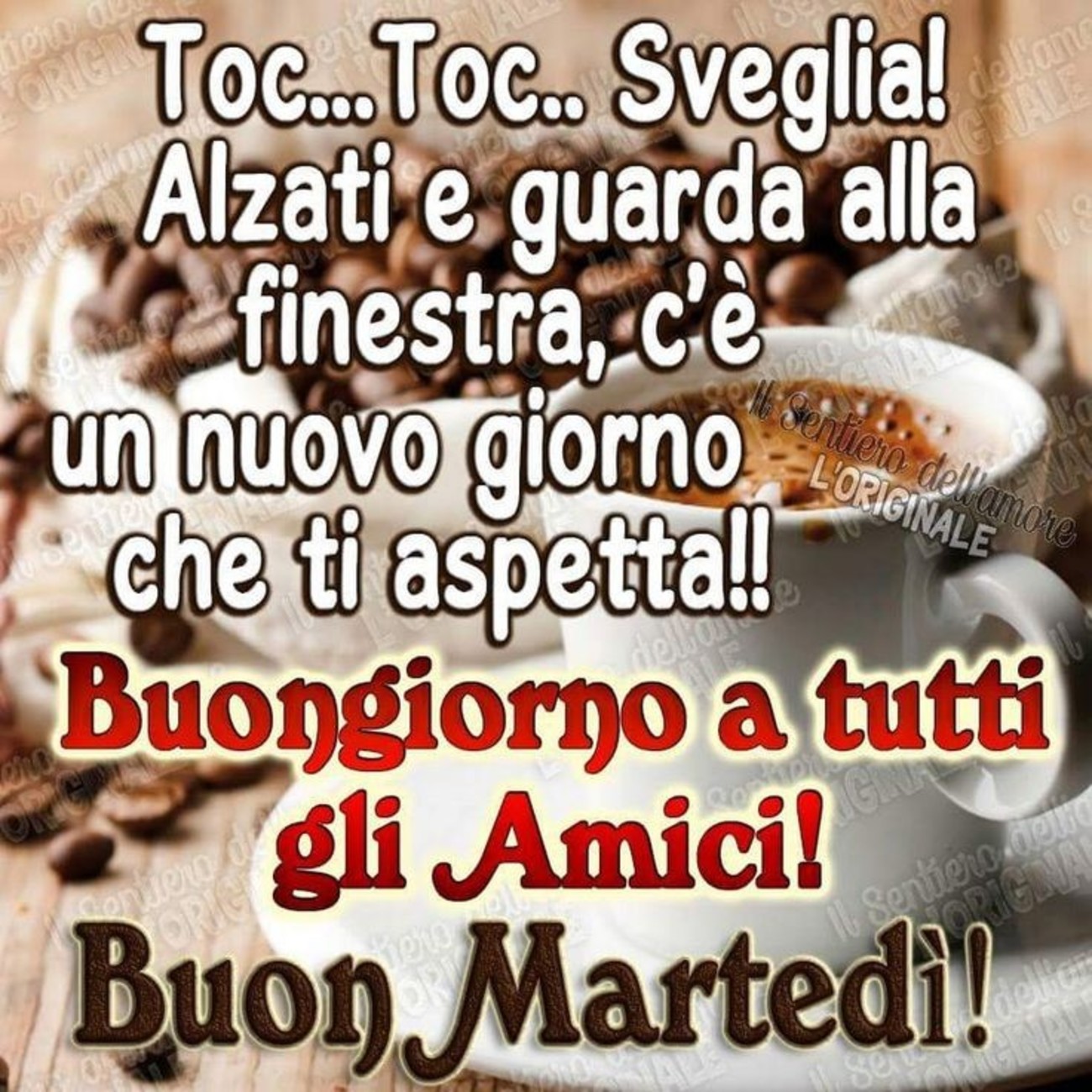 Belle immagini buon martedì amici