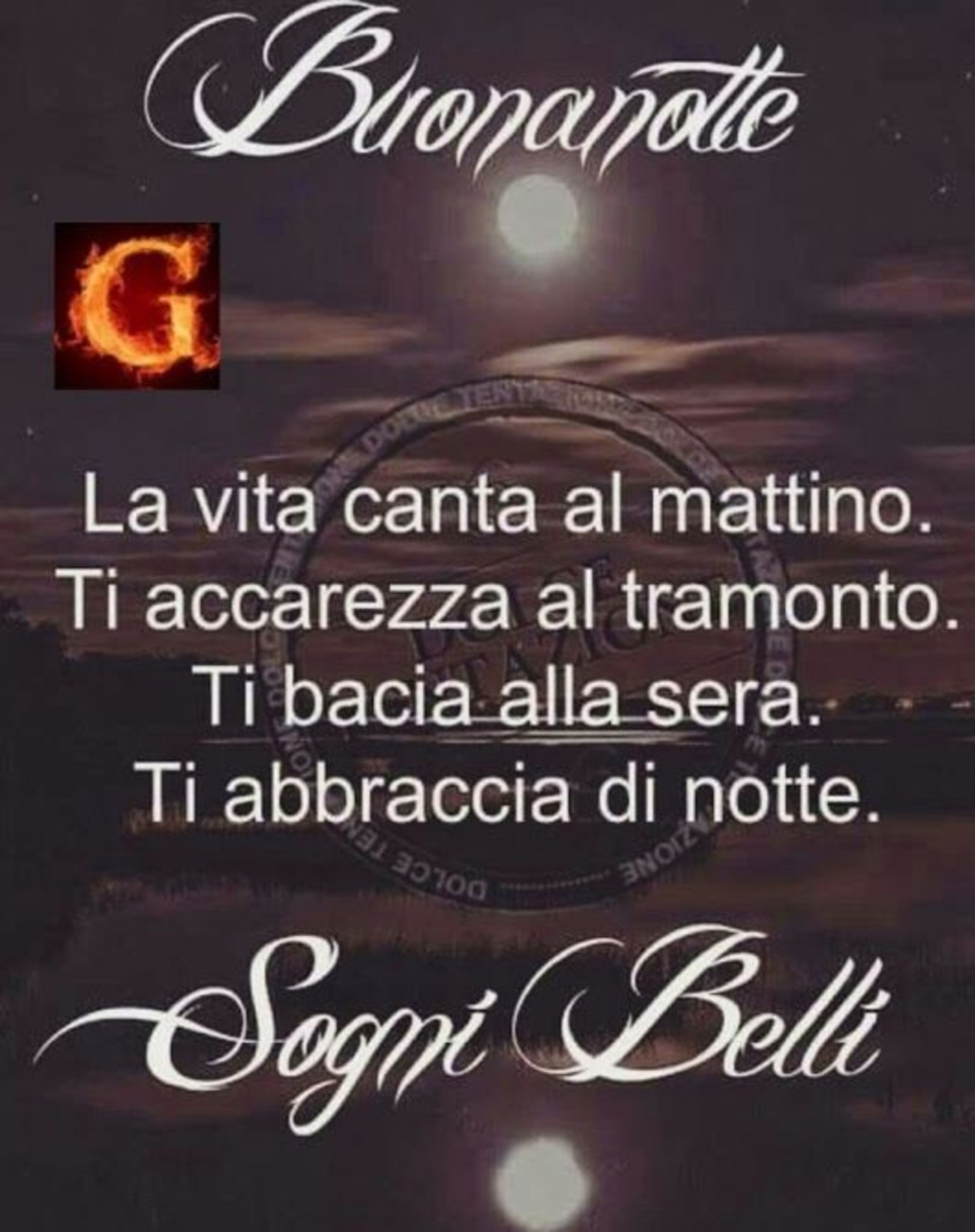 Belle immagini buonanotte (1)