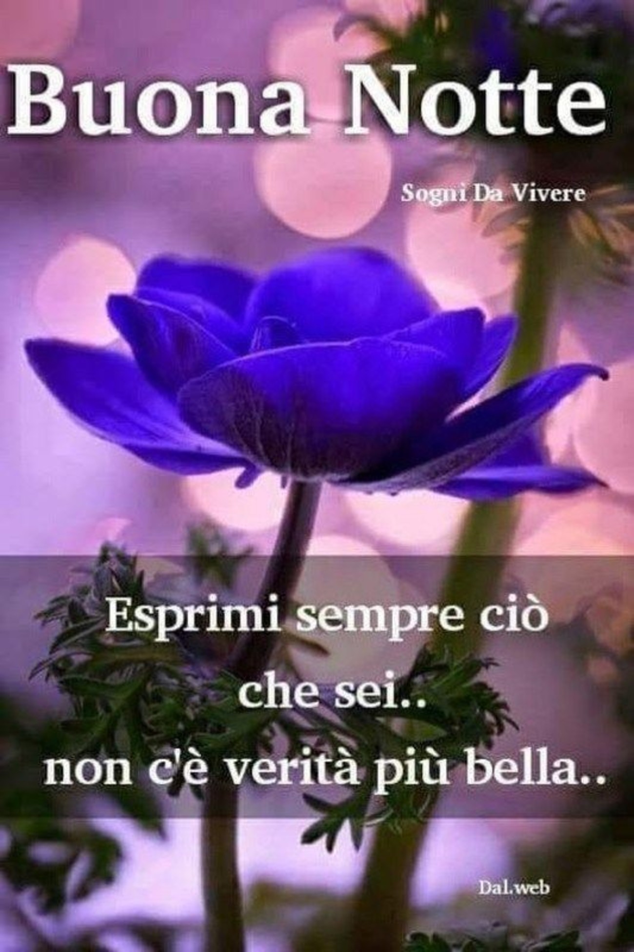 Belle immagini buonanotte (17)