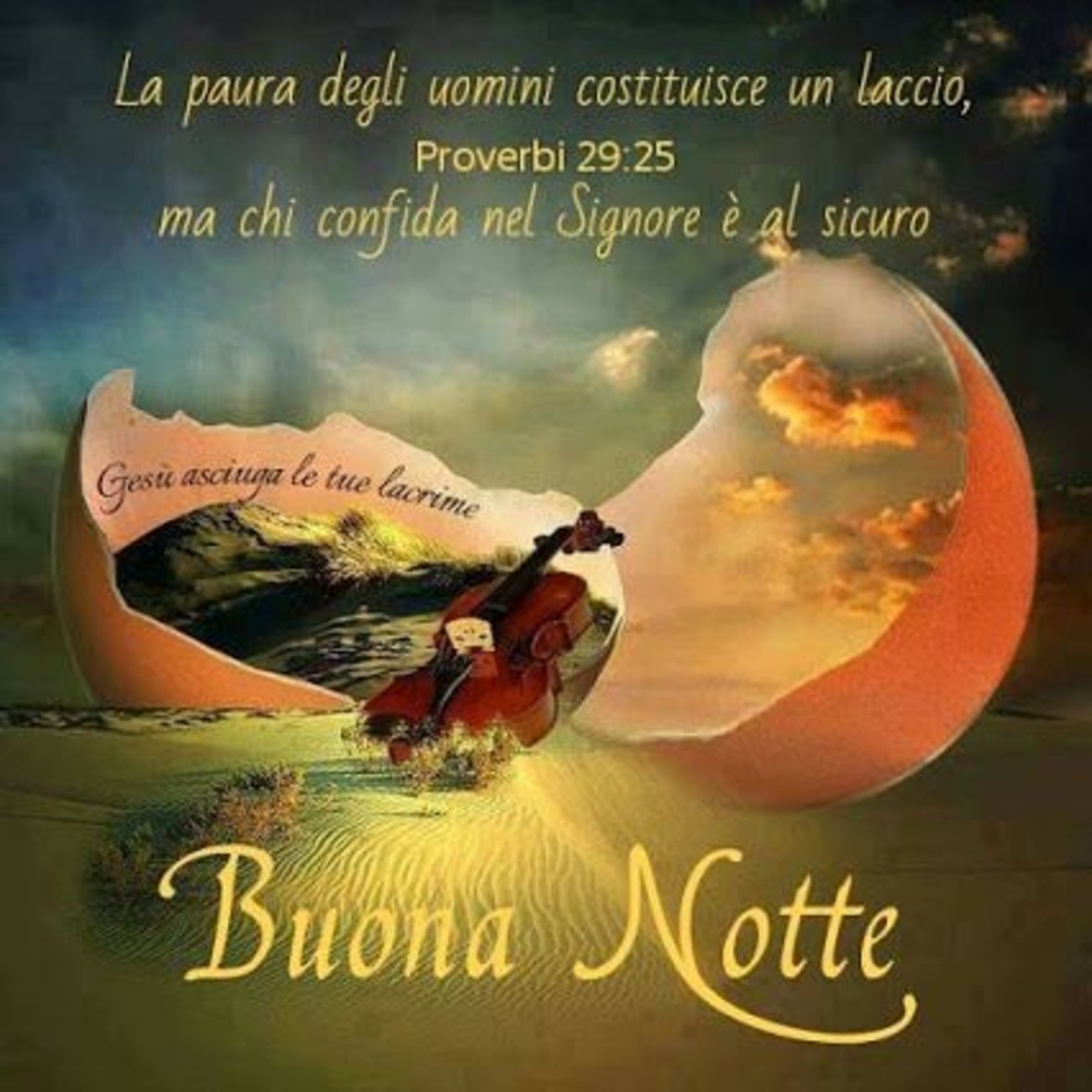 Belle immagini buonanotte (2)