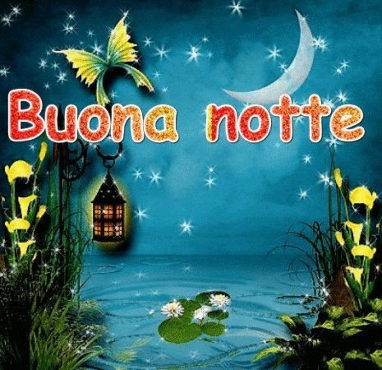 Belle immagini buonanotte (25)