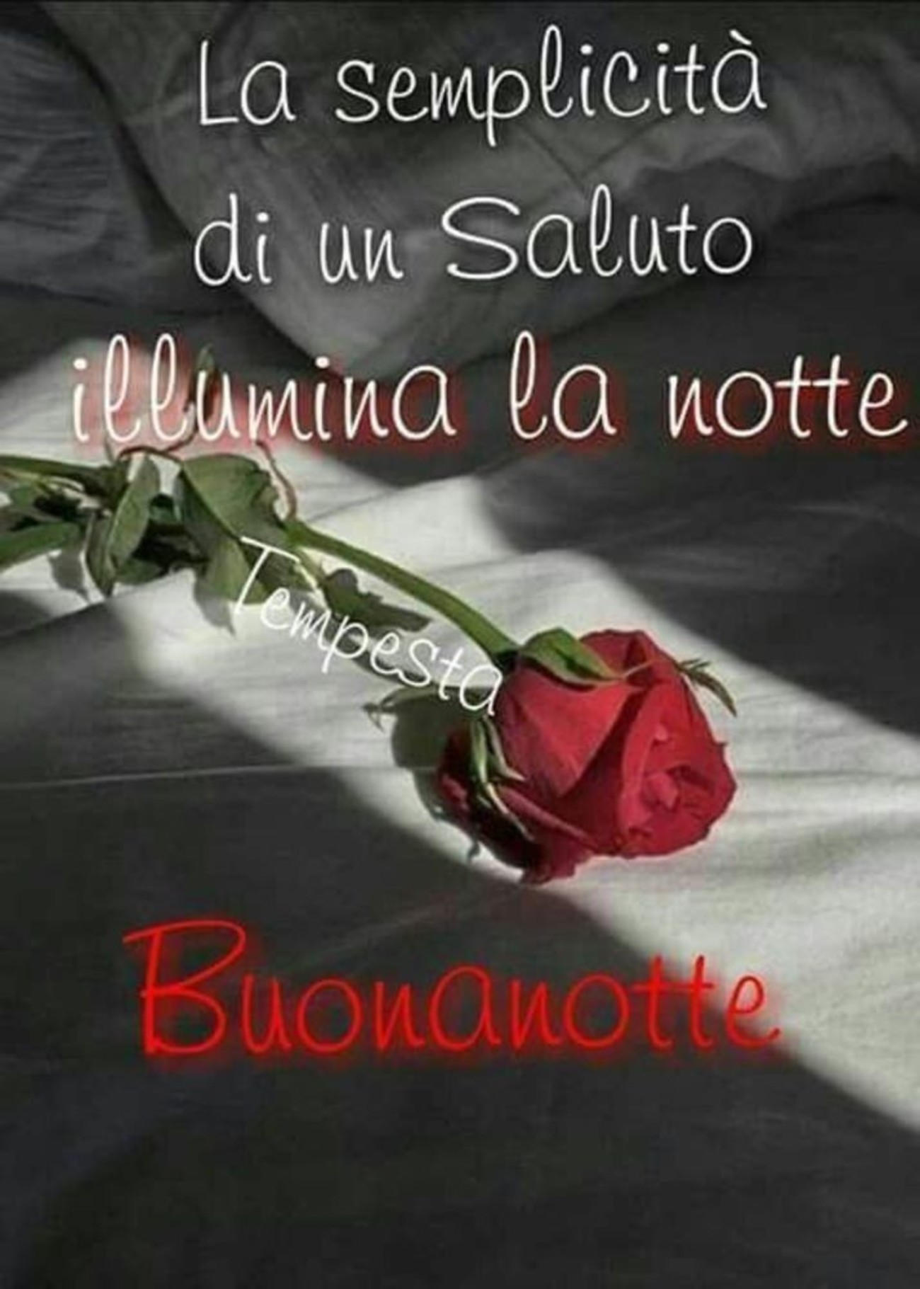 Belle immagini buonanotte (4)