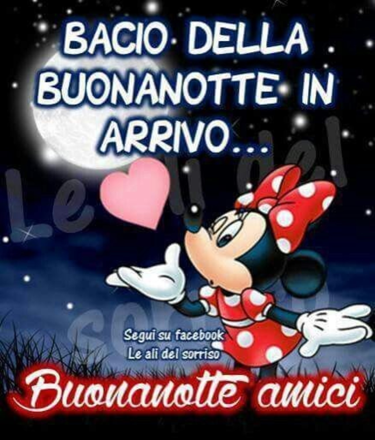 Belle immagini buonanotte (6)