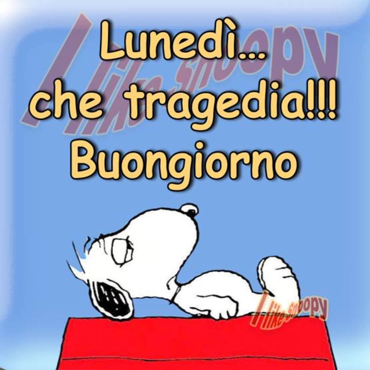 Belle immagini di buon lunedì con Snoopy (2)