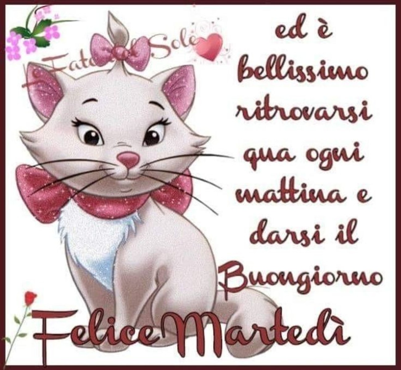 Belle immagini di buon martedì (2)