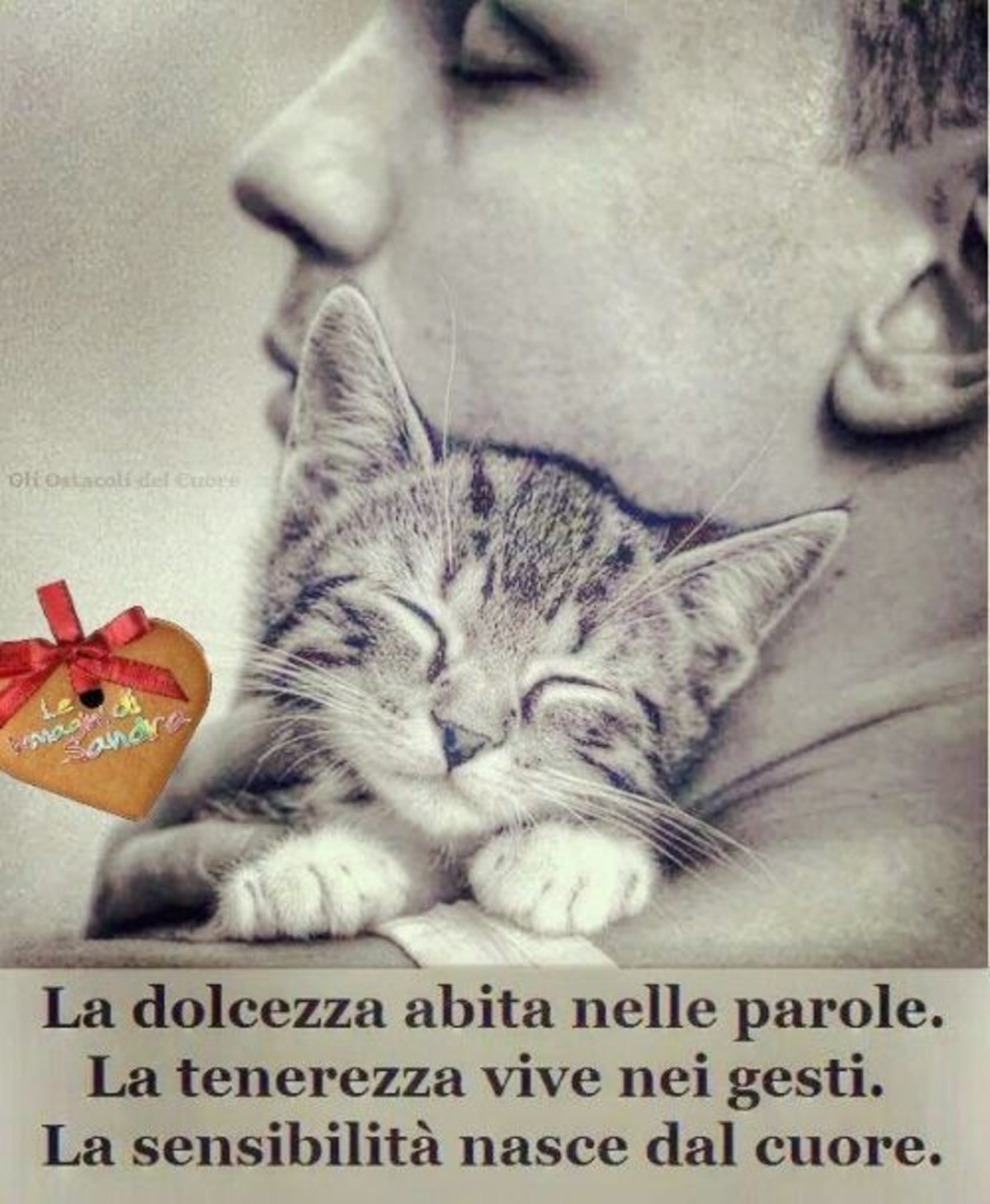 Belle immagini di frasi (15)