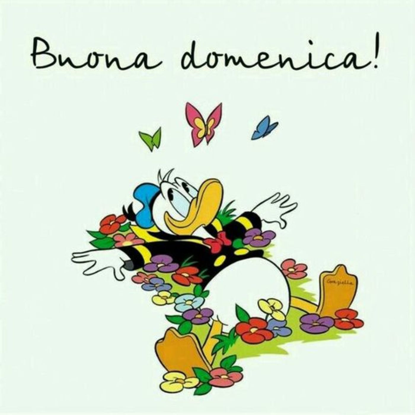 Belle immagini gratis buona domenica (13)