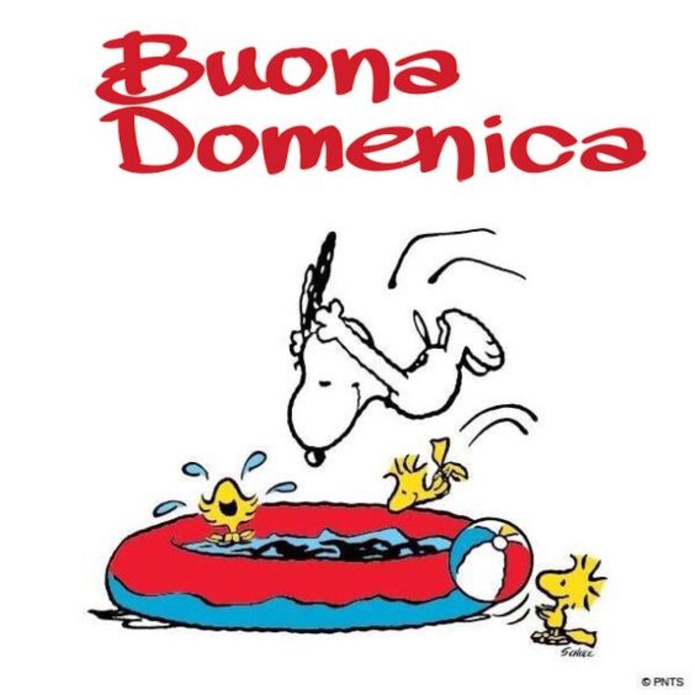 Belle immagini gratis buona domenica (14)