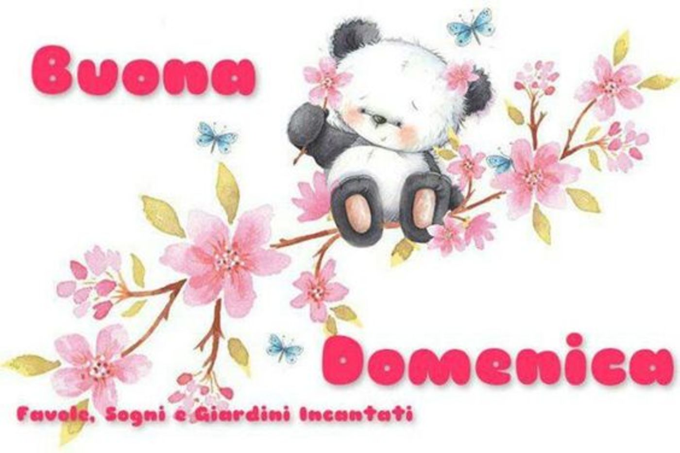 Belle immagini gratis buona domenica (6)