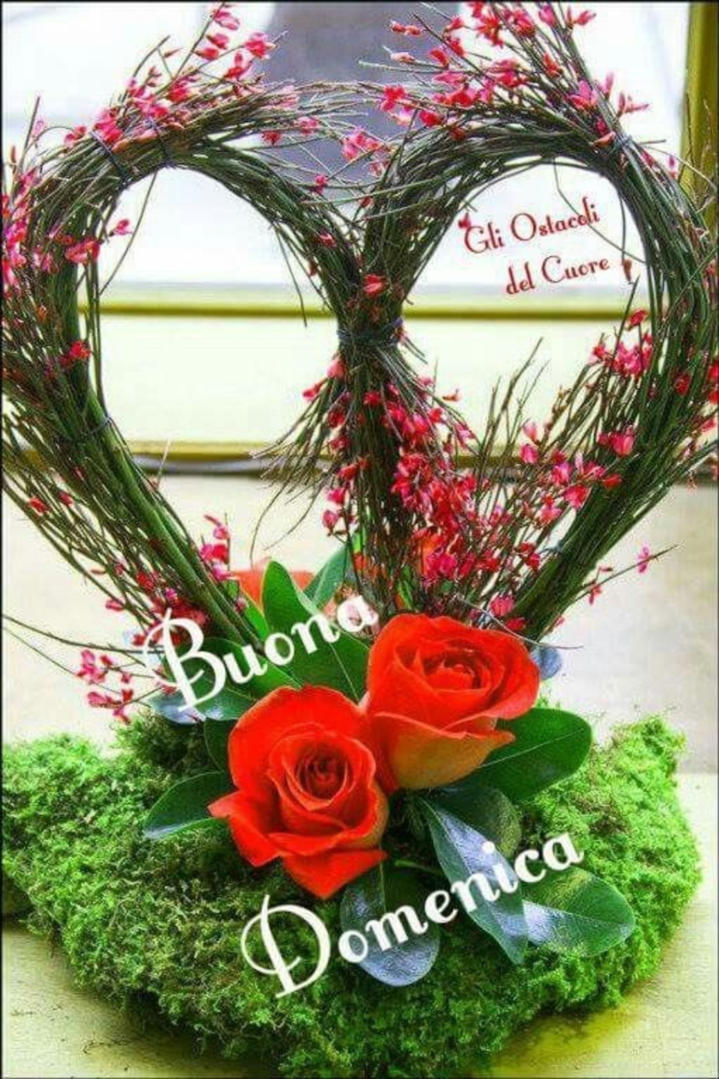 Belle nuove immagini buona domenica (1)