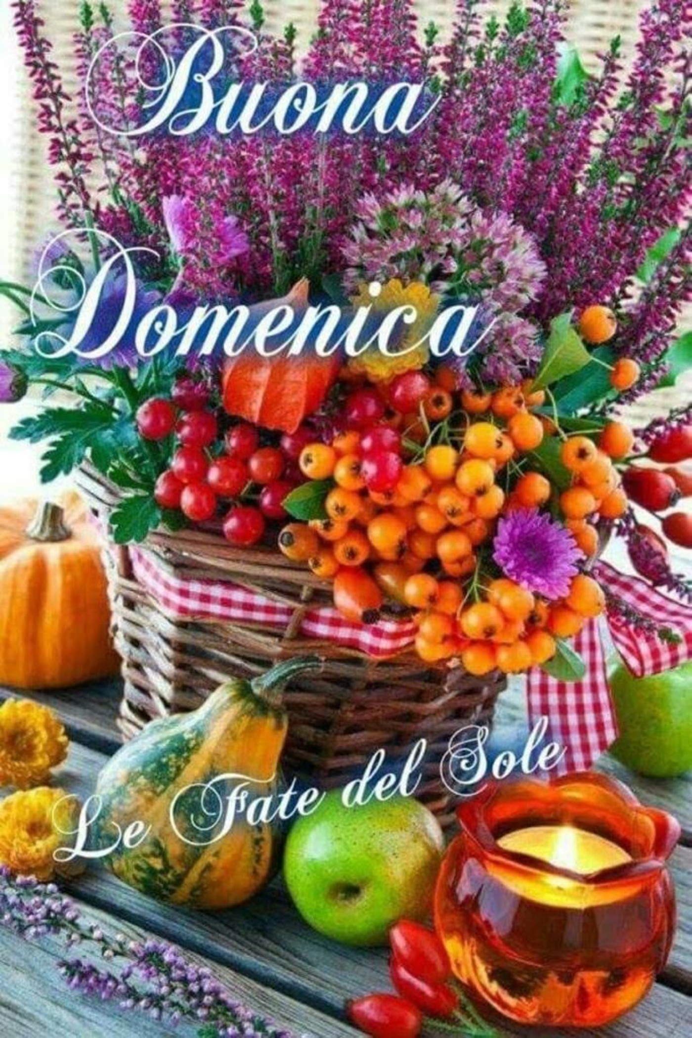 Belle nuove immagini buona domenica (7)