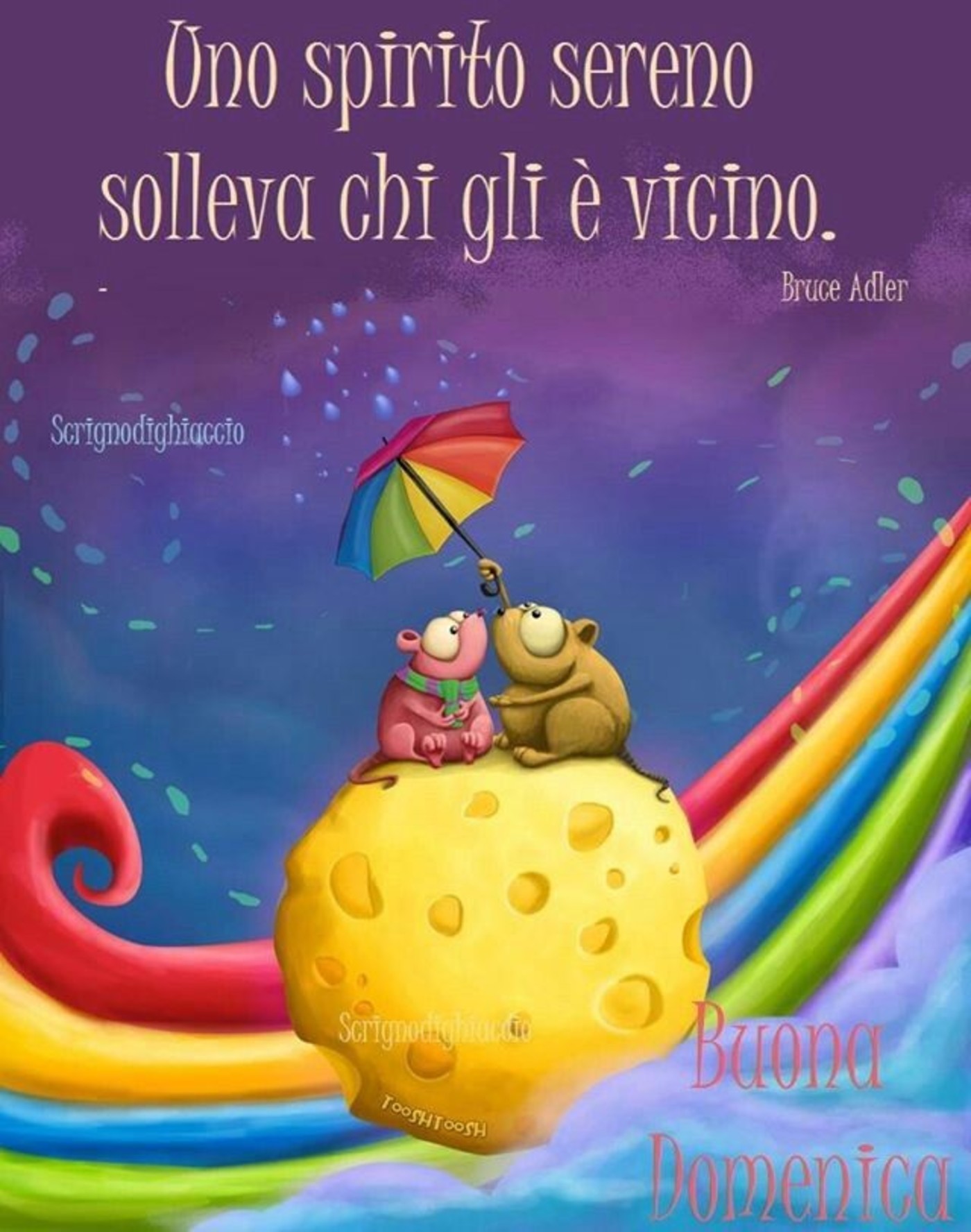 Bellissima buona domenica a te (2)