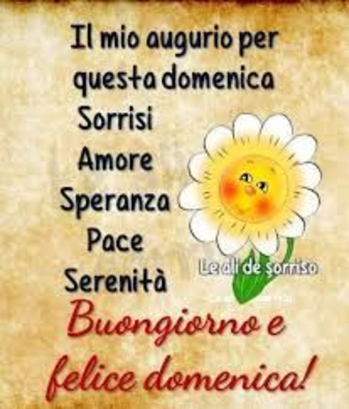 Bellissima buona domenica a te (3)