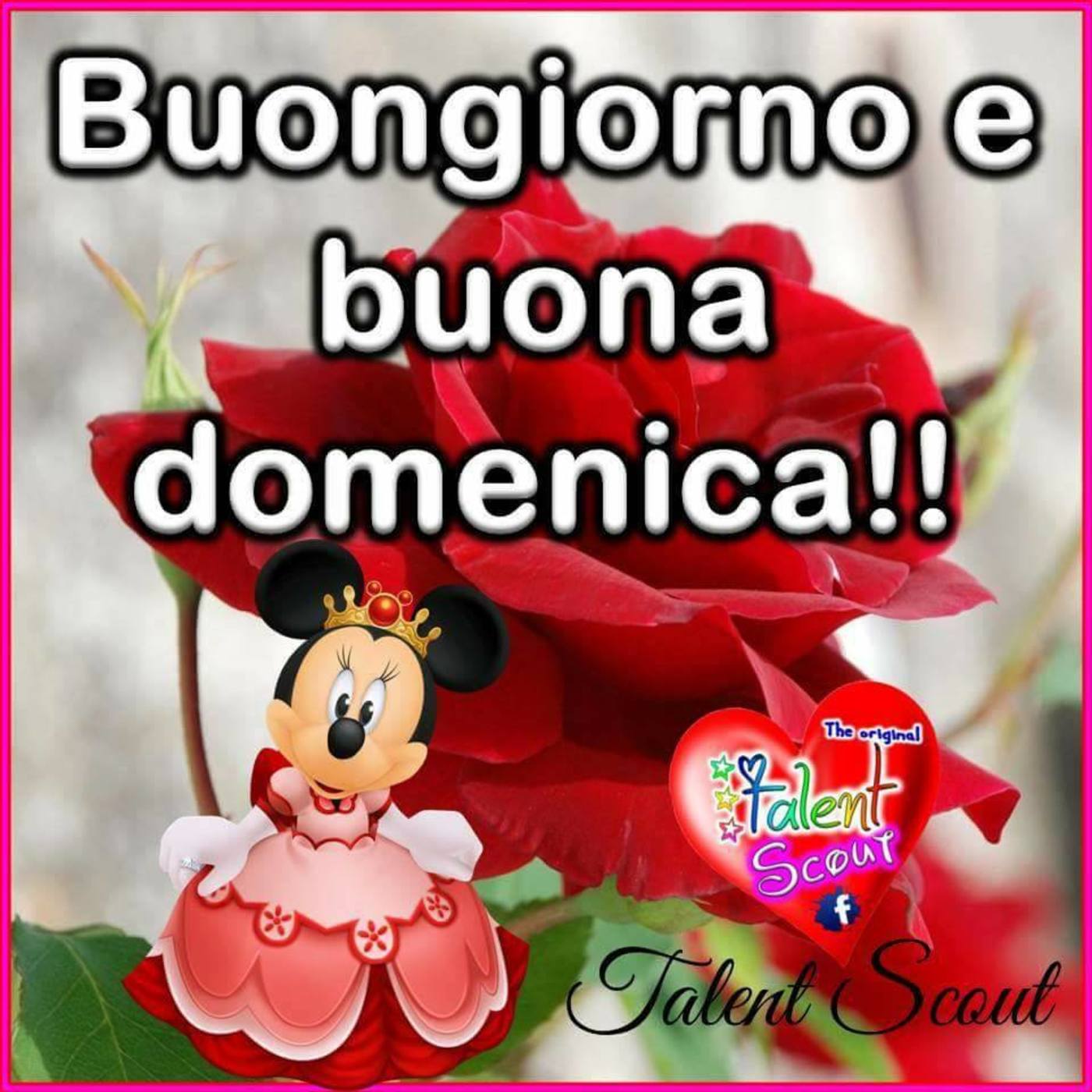 Bellissima buona domenica a te (6)