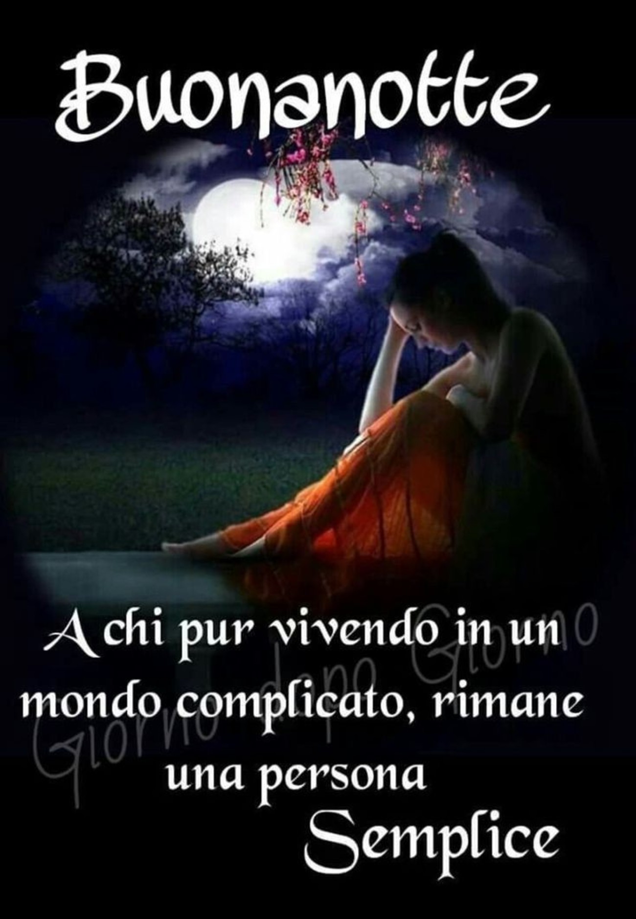 Bellissima buonanotte a te (1)