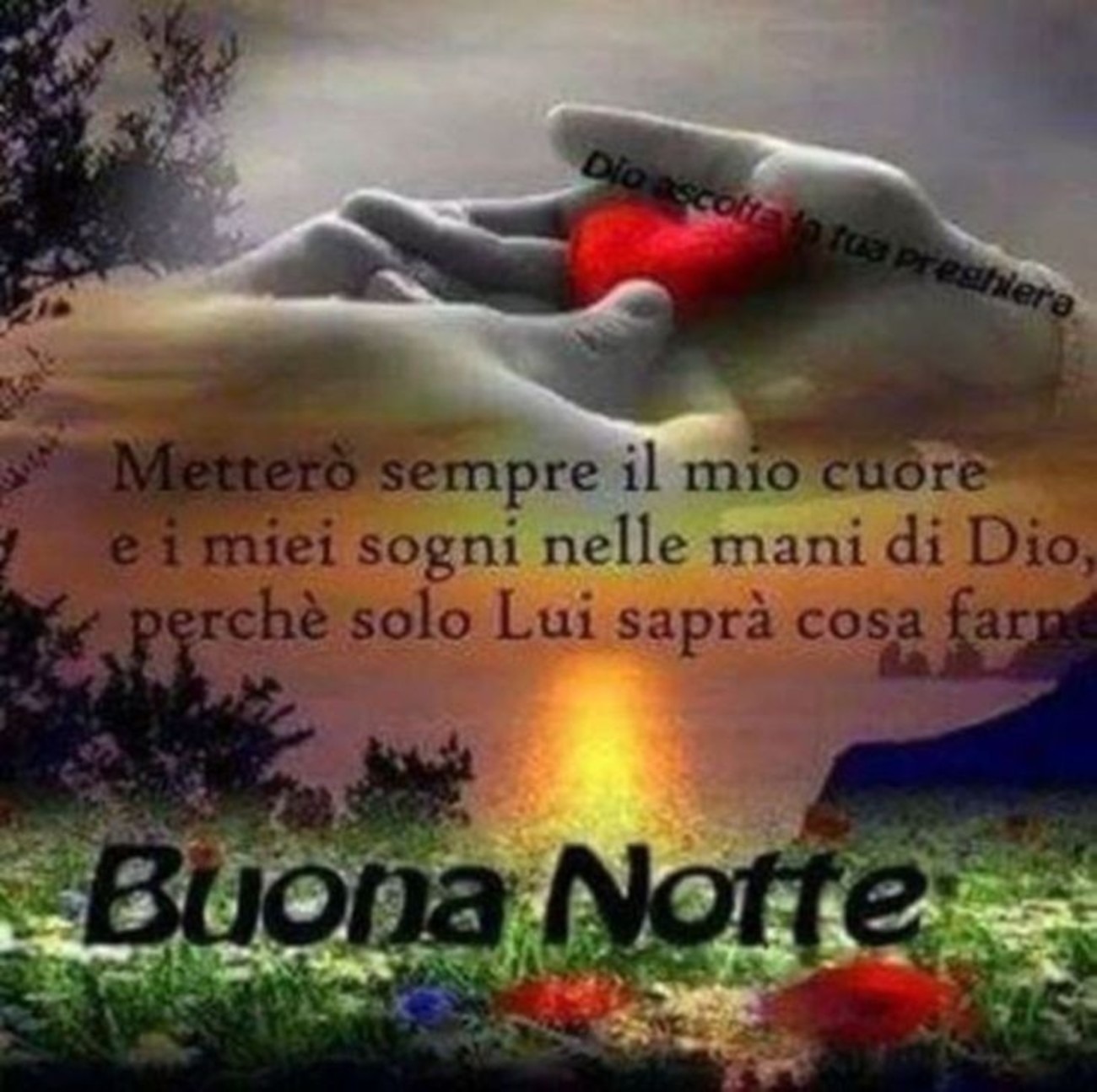 Bellissima buonanotte a te (6)