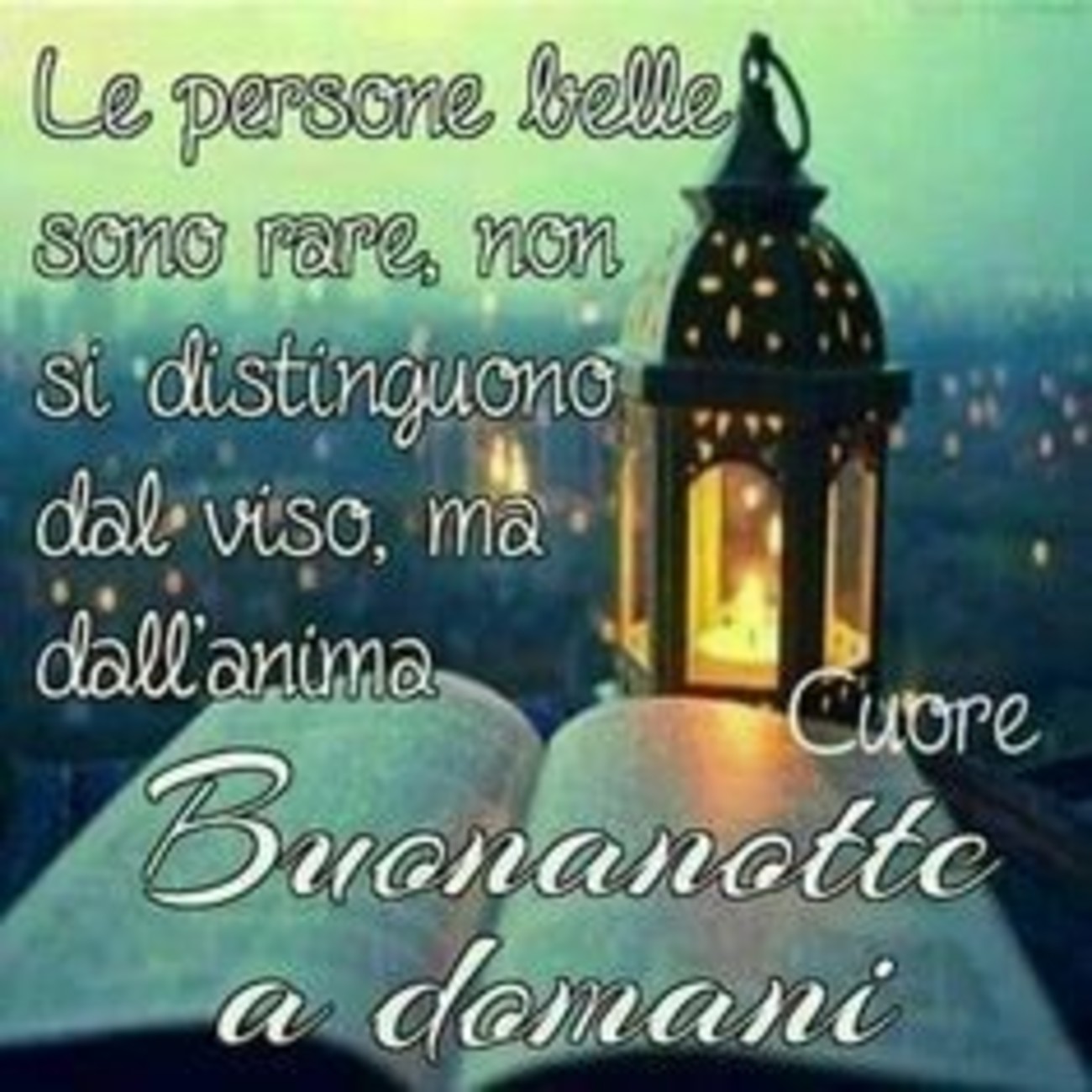 Bellissima buonanotte a te (9)