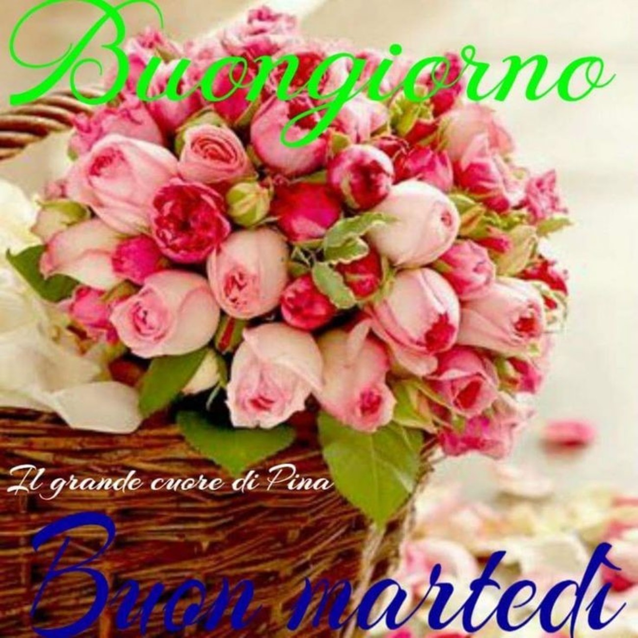 Bellissime immagini buon martedì