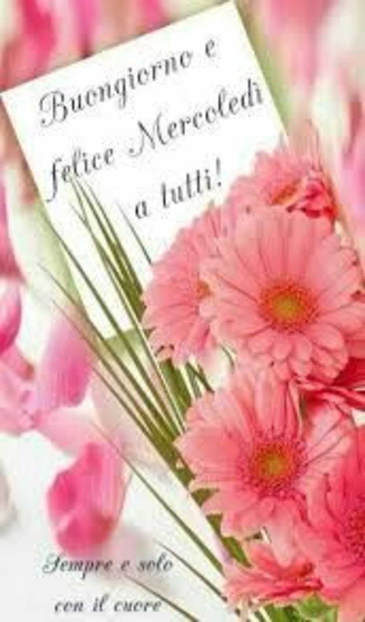 Bellissime immagini buon mercoledì