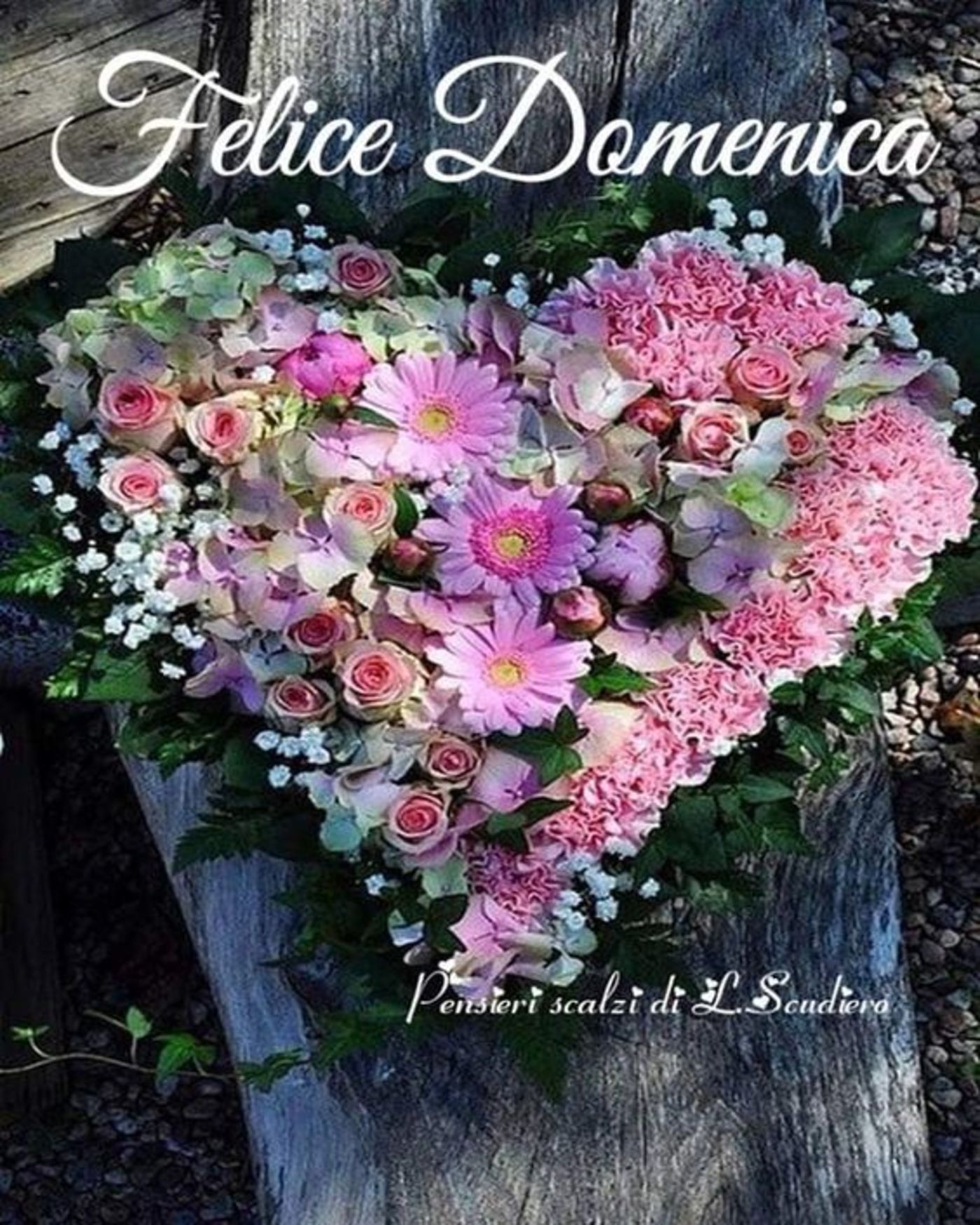 Bellissime immagini buona domenica da mandare (4)