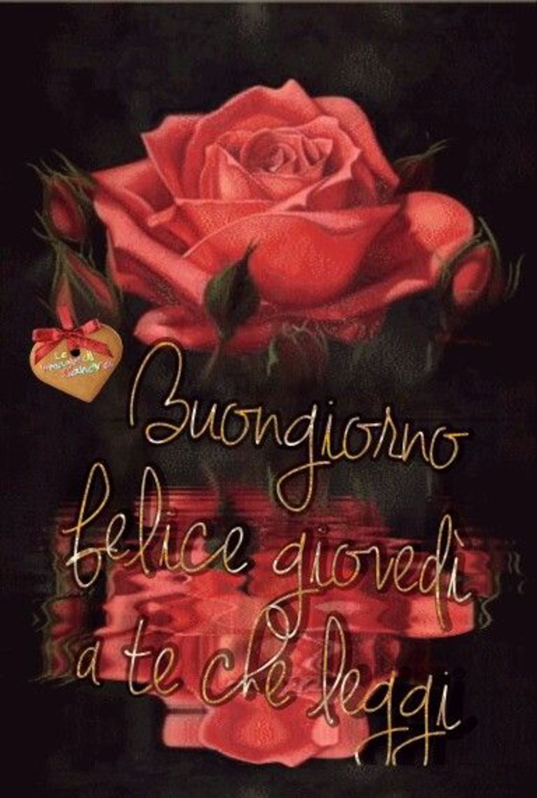 Bellissime immagini di fiori e del buon giovedì (3)