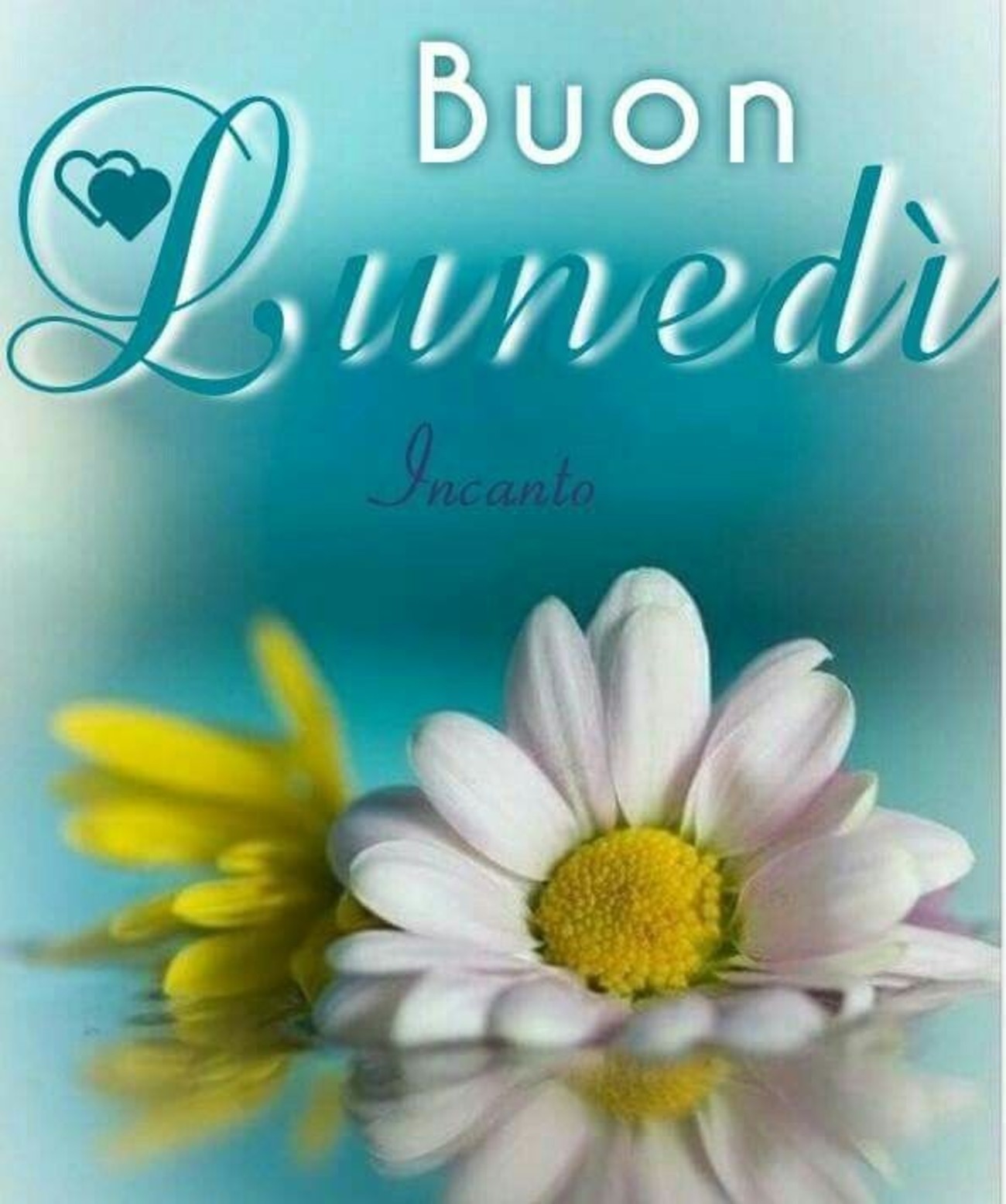 Bellissime immagini nuove del buon lunedì (5)