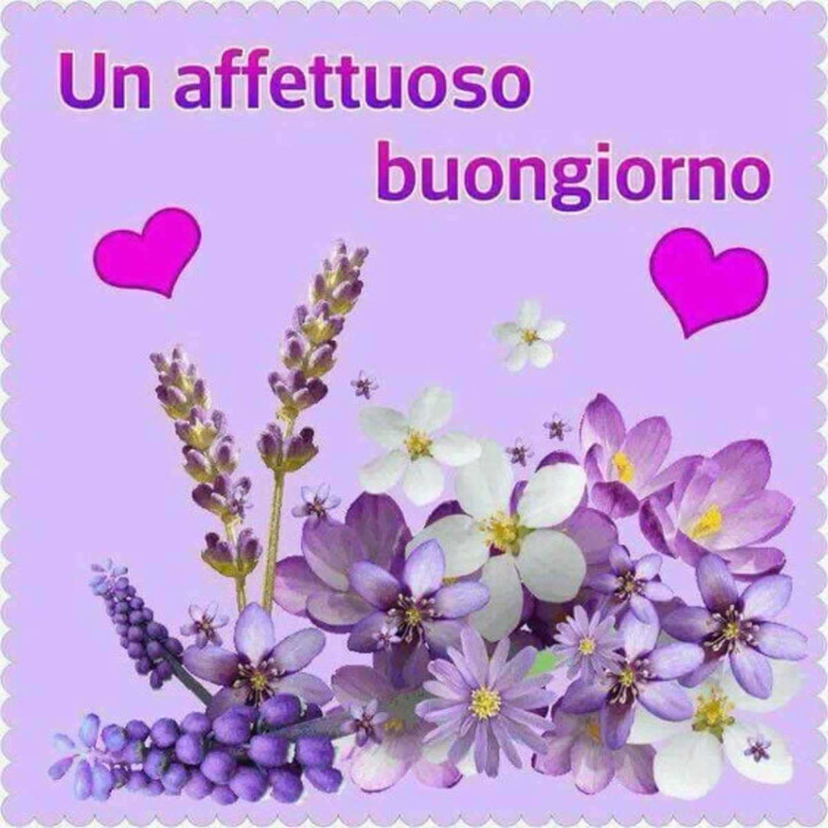 Bellissimo buongiorno a tutti (7)