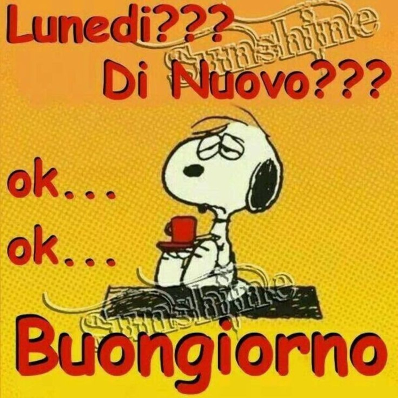 Bellissimo buongiorno con Snoopy (1)