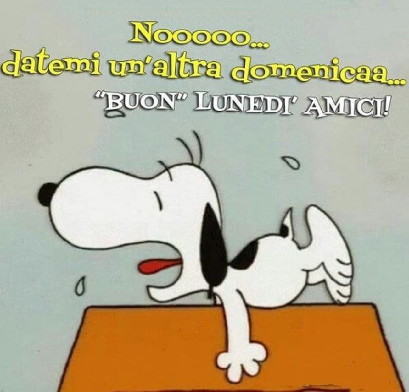 Bellissimo buongiorno con Snoopy (2)